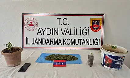 Köşk'te uyuşturucu baskını: 1 gözaltı