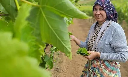 Sarıgöl'de evlerde salamura yaprak zamanı
