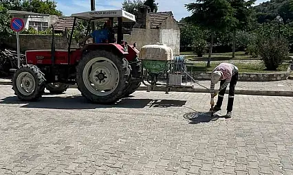 Yenipazar'da haşerelere karşı ortak mücadele