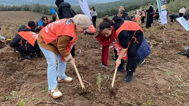 '81 İlde 81 Orman' Projesi kapsamında Bursa'da 10 bin fidan toprakla buluştu
