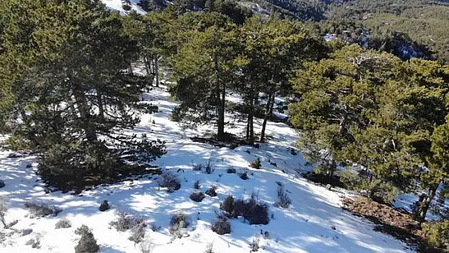 13 gündür aranan gençten acı haber