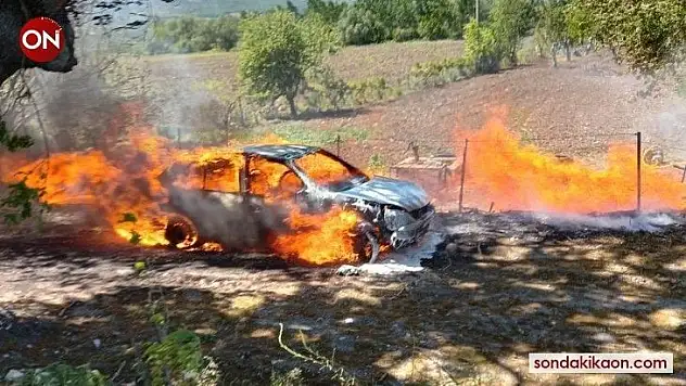 Ağaç artıklarını yaktı, aracı kül oldu