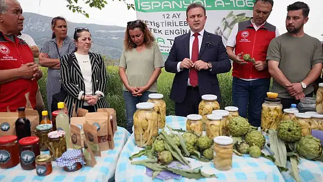 Akçapınar'da 'Hibrit Enginar Hasadı Tarla Günü' düzenlendi