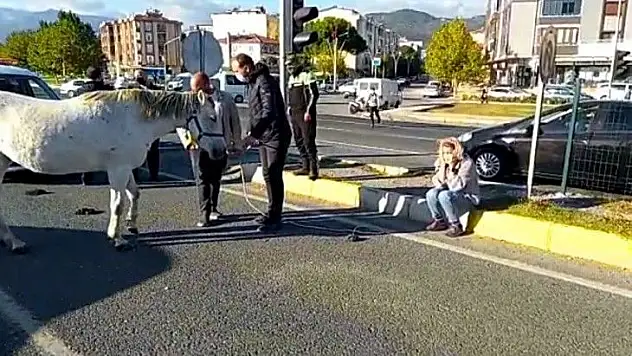 Ata çarpan kadın gözyaşına boğuldu
