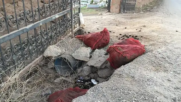 Ayvalık'ta 'karadiken' kabuklarına İlçe Hıfzıssıhha Kurulu freni