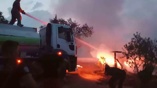 Ayvalık'ta-çıkan yangın korkuttu