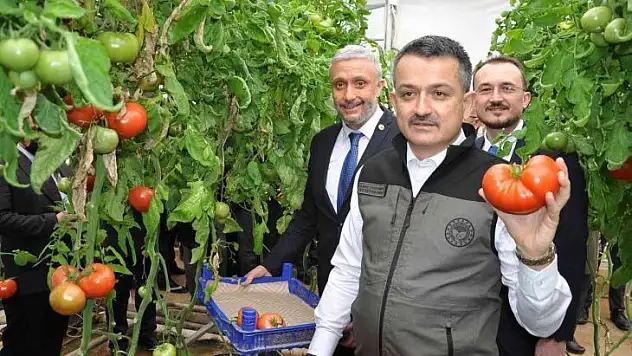 Bakan Pakdemirli: 'Seracılık hızlı bir şekilde büyüyor'