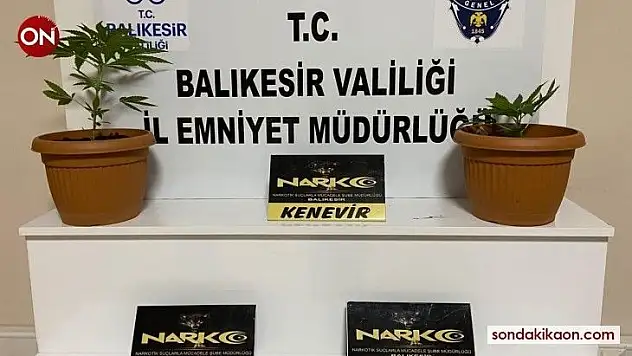 Balıkesir'de polisten 37 şahsa uyuşturucu ve asayiş göz altısı