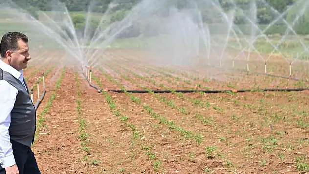 Balıkesir'in toprağı büyükşehir ile bereketleniyor