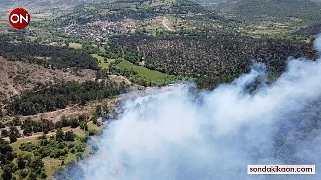 Balya'daki orman yangını kontrol altına alındı