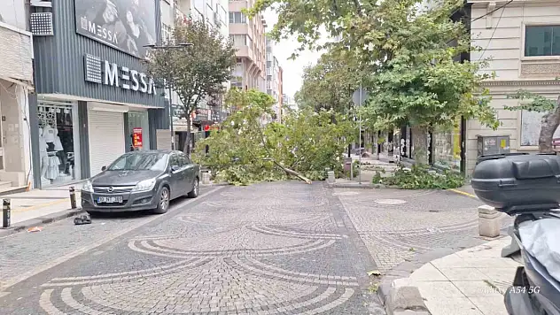 Bandırma'da gece yarısı fırtına: Ağaçlar devrildi, araçlar zarar gördü