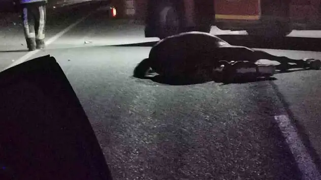 Başıboş ata çarpan otomobil takla atarak hurdaya döndü: 1 ölü 1 yaralı
