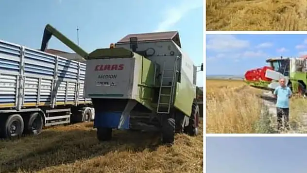 BAÜN'de 203 ton arpa hasadı yapıldı