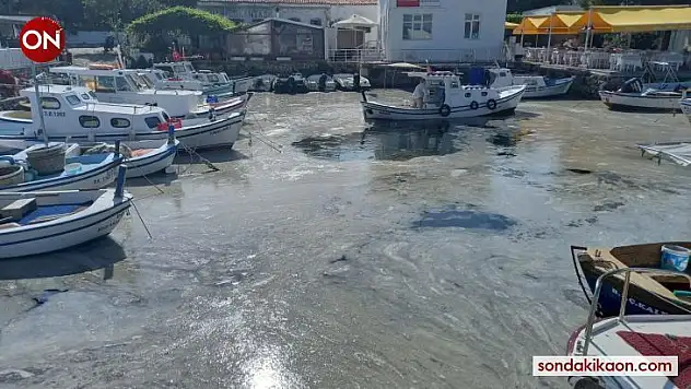 Bozcaada'da müsilaj görüldü