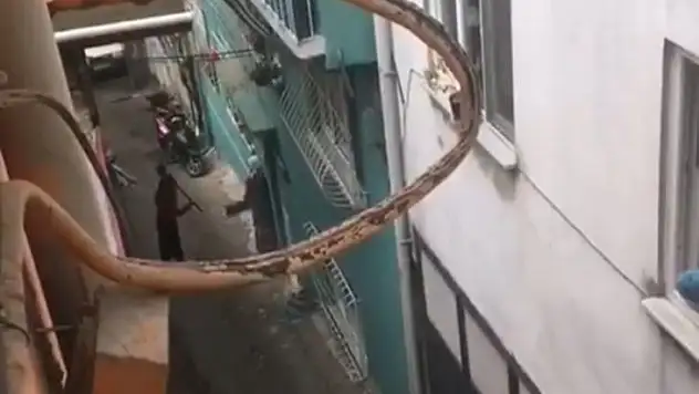 Bursa'da çaydanlıkla polise saldıran kadın serbest kalınca mahalle sakinlerine sopayla saldırdı