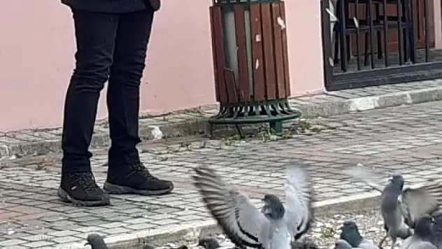 Bursa'da sokak hayvanlarına polisten şefkat eli