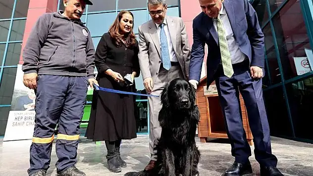 Can dostlar için anlamlı protokol