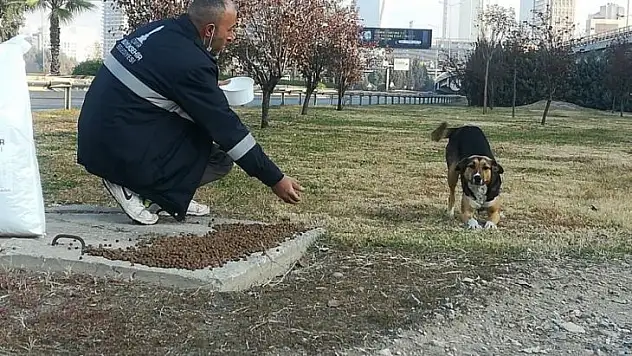 Can dostlar unutulmadı