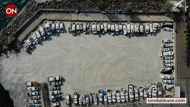 Çanakkale Boğazı'nda müsilaj kabusu sürüyor