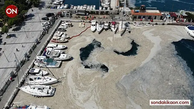 Çanakkale Boğazı'nda müsilaj temizliği seferberliği