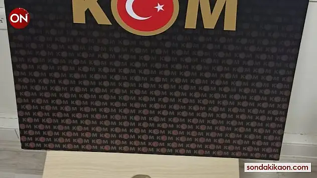 Çanakkale'de deniz yıldızı fosili ele geçirildi