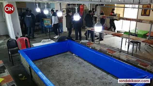 Çanakkale'de horoz dövüşünde 54 gözaltı