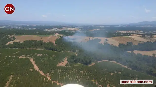 Çanakkale'de orman yangını