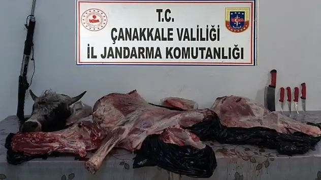 Çanakkale'de tüfekle vurdukları hayvanı çalan şahıslara suçüstü