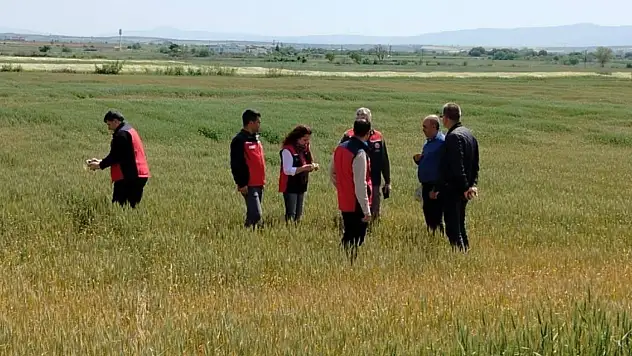 Çanakkale'de üreticilerin ekili dikili alanlarında saha incelemesi yapıldı