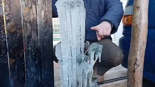 Çanakkale'de zirai don uyarısı