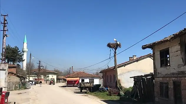Çanakkale'ye yılın ilk leyleği geldi
