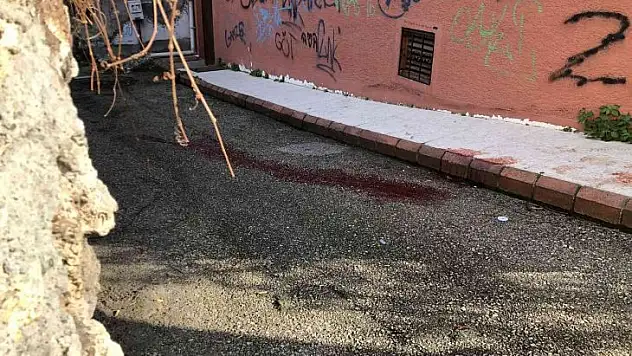 Cep telefonunu gasp etmeye çalışan şahsı öldüren zanlı tutuklandı