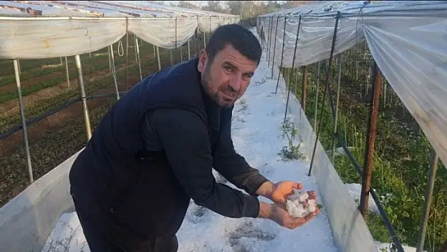 Çeşme'de hortum felaketinin ardından Urla'yı dolu vurdu: Seralar delik deşik