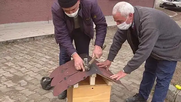 ÇPL'den 'Sokak Hayvanlarını Besliyorum' projesine kedi evi desteği