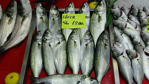 Denizlerin prensi 'lüfer' 1200 liradan tezgahta