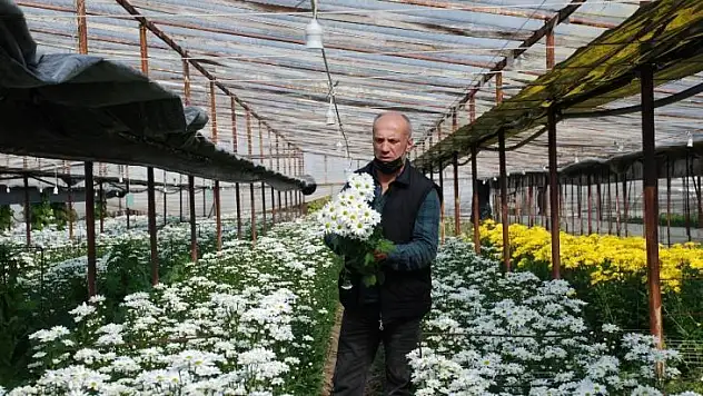 Dolu mağduru Urla'da bu kez de don endişesi