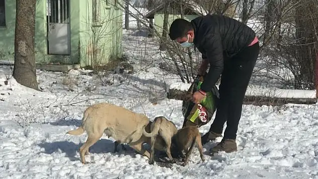 Dumlupınar Belediyesi sokak hayvanlarını unutmadı