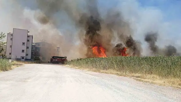 Edremit'te sazlık alanda yangın