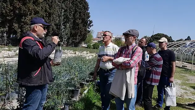 Edremit'te zeytin budama kursu uygulamalı eğitimle tamamlandı