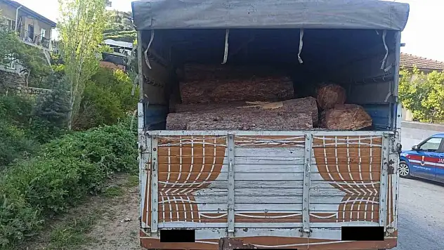 Efeler'de kaçak orman ürünü ele geçirildi