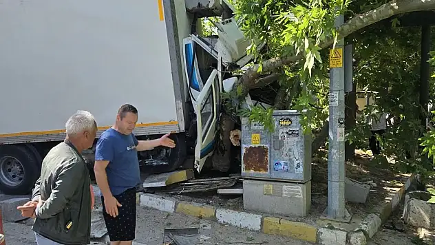 Erdek Ocaklar'da kaza: Freni patlayan kamyon ağaca çarptı