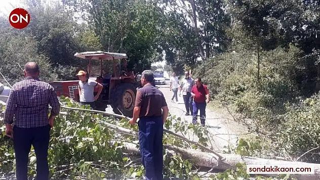 Fırtınadan devrilen kavak ağacı karayolunu kapattı