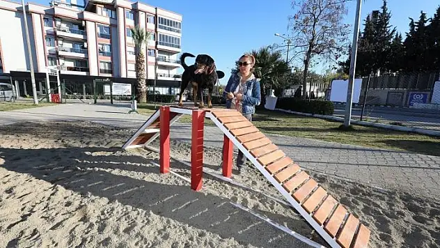 Gaziemir'de köpeklere özel park açıldı