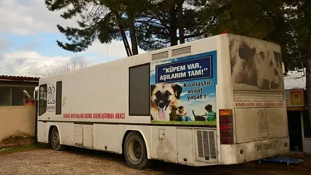 Gediz'de sahipsiz sokak hayvanları için çalışmalar başlatıldı