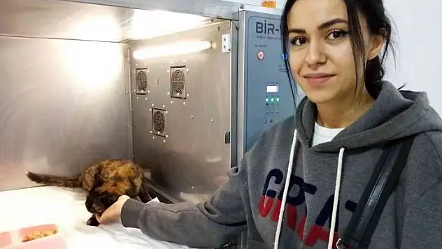 Hasta sandı, tüfekle vurulduğunu öğrendi