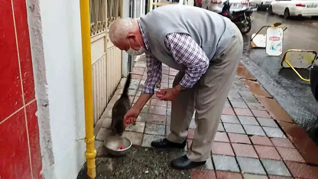 Hisarcık'ta sokak hayvanlarının dostu gurbetçi vefat etti