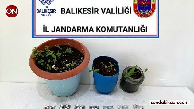 İvrindi'de kenevir ve uyuşturucu operasyonu