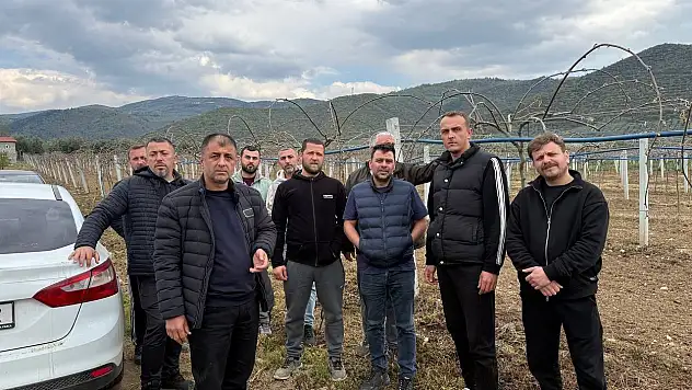 İznik Ovası'nı don vurdu