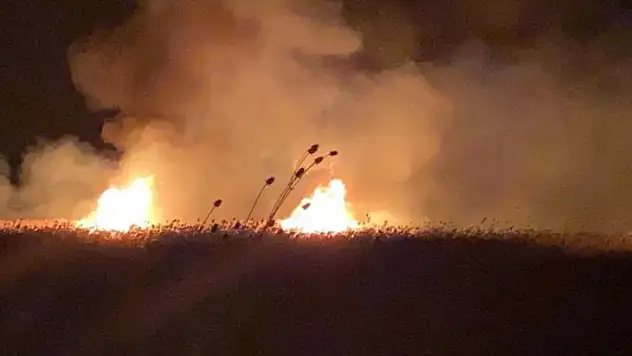 İznik'te sazlıklarda ikinci yangın