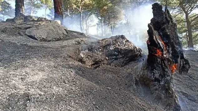 Kazdağları'ndaki yangın kontrol altına alındı
